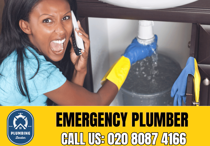 emergency plumber Catford