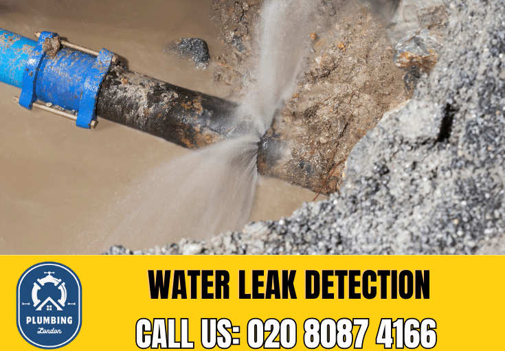 leak detection Catford