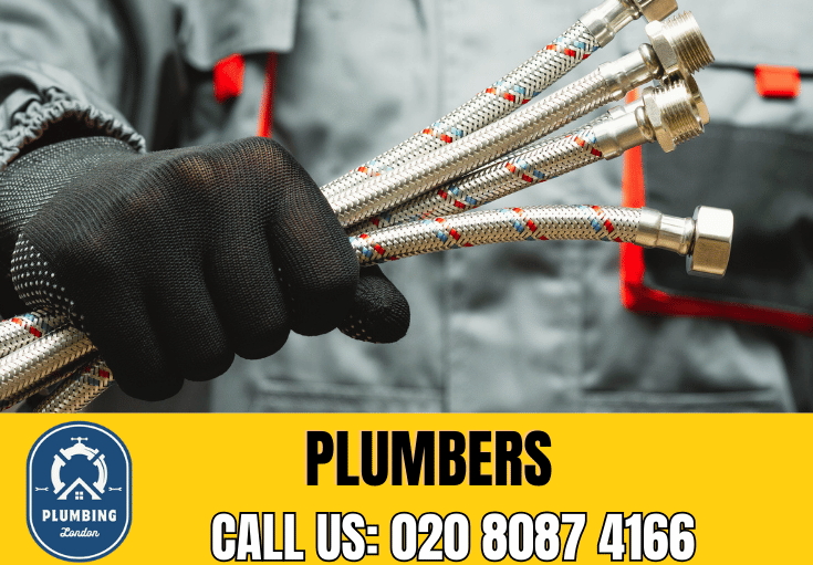  plumber Rushey Green