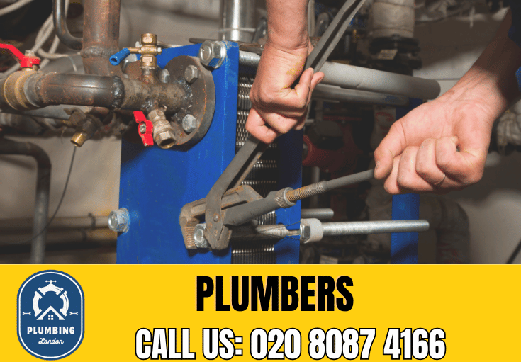  plumber Ladywell